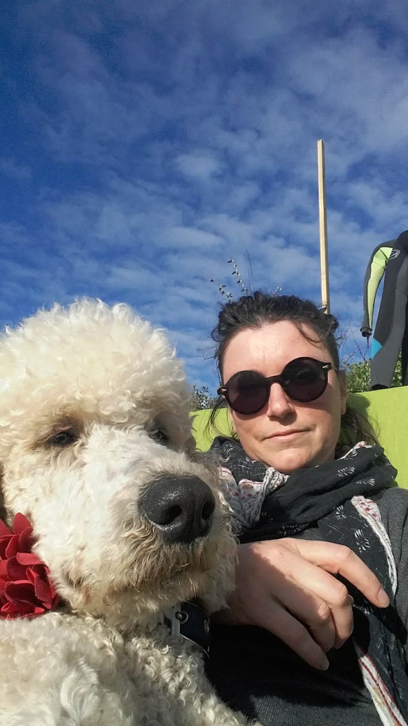 The groomer outdoors with a large cream poodle on a sunny day